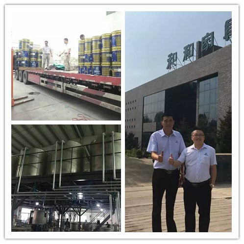 漆強化工--長春盈潤家具廠 漆強化工--長春盈潤家具廠